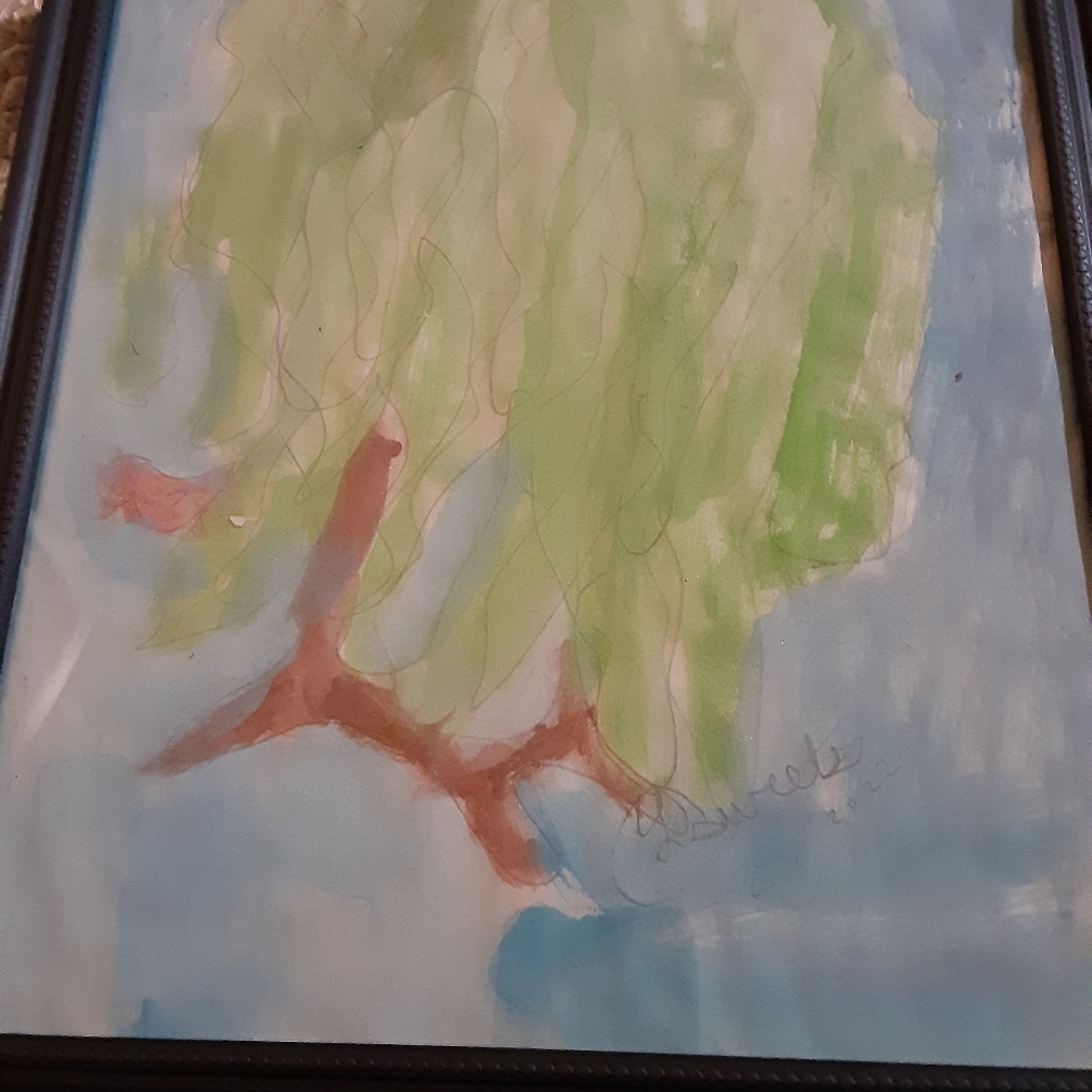 Weeping willo tree